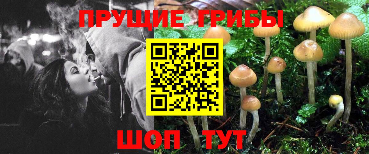 Галлюциногенные грибы мицелий Мценск